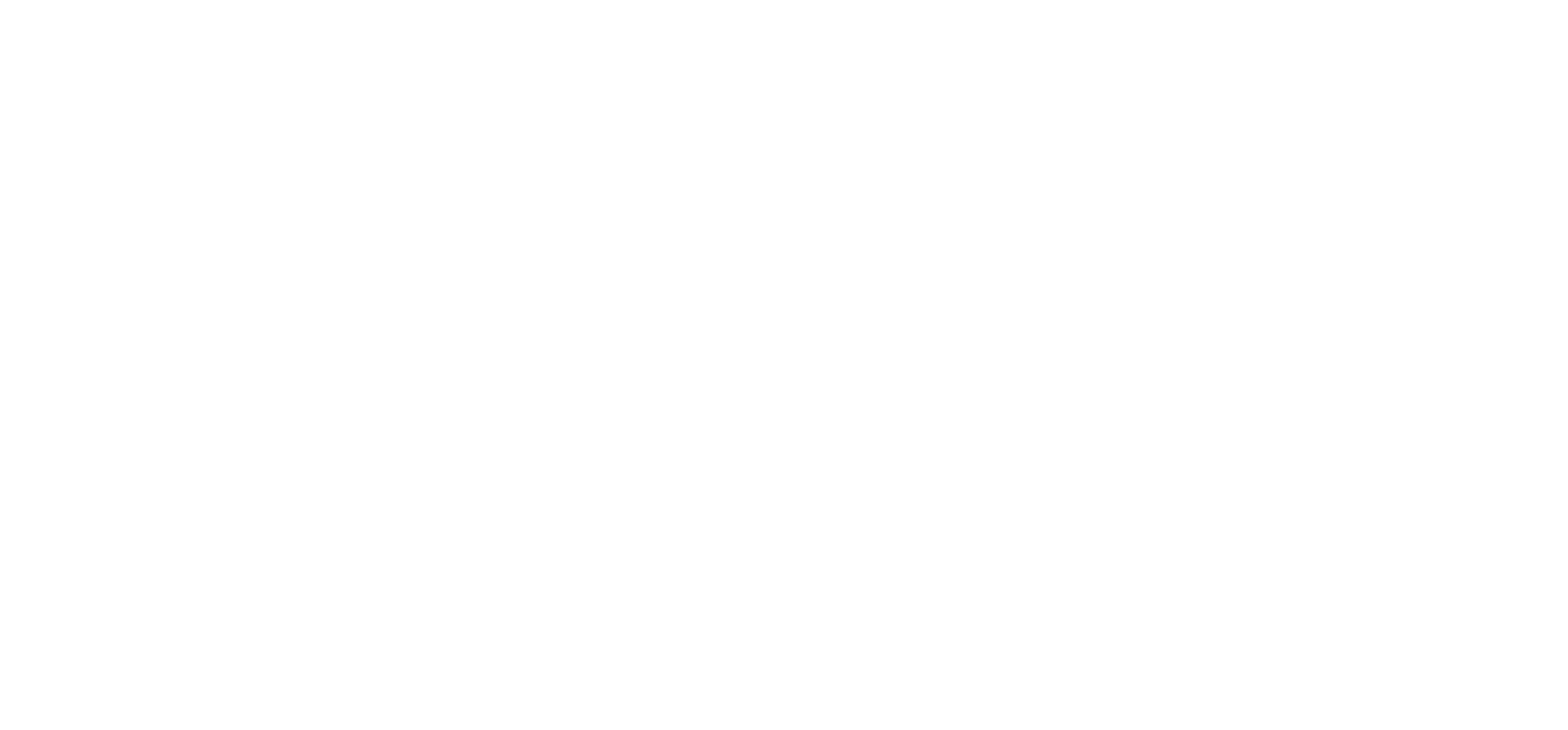 Ann's Nails Logo